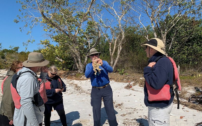 Group on island